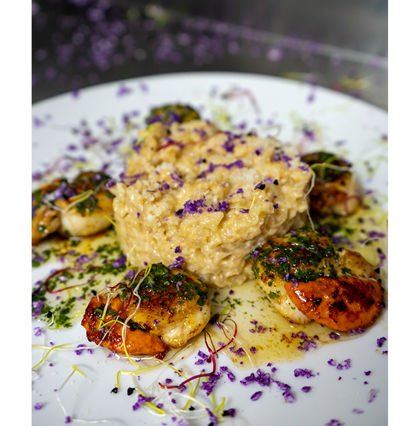 Chez Séraphine - restaurant BAGES